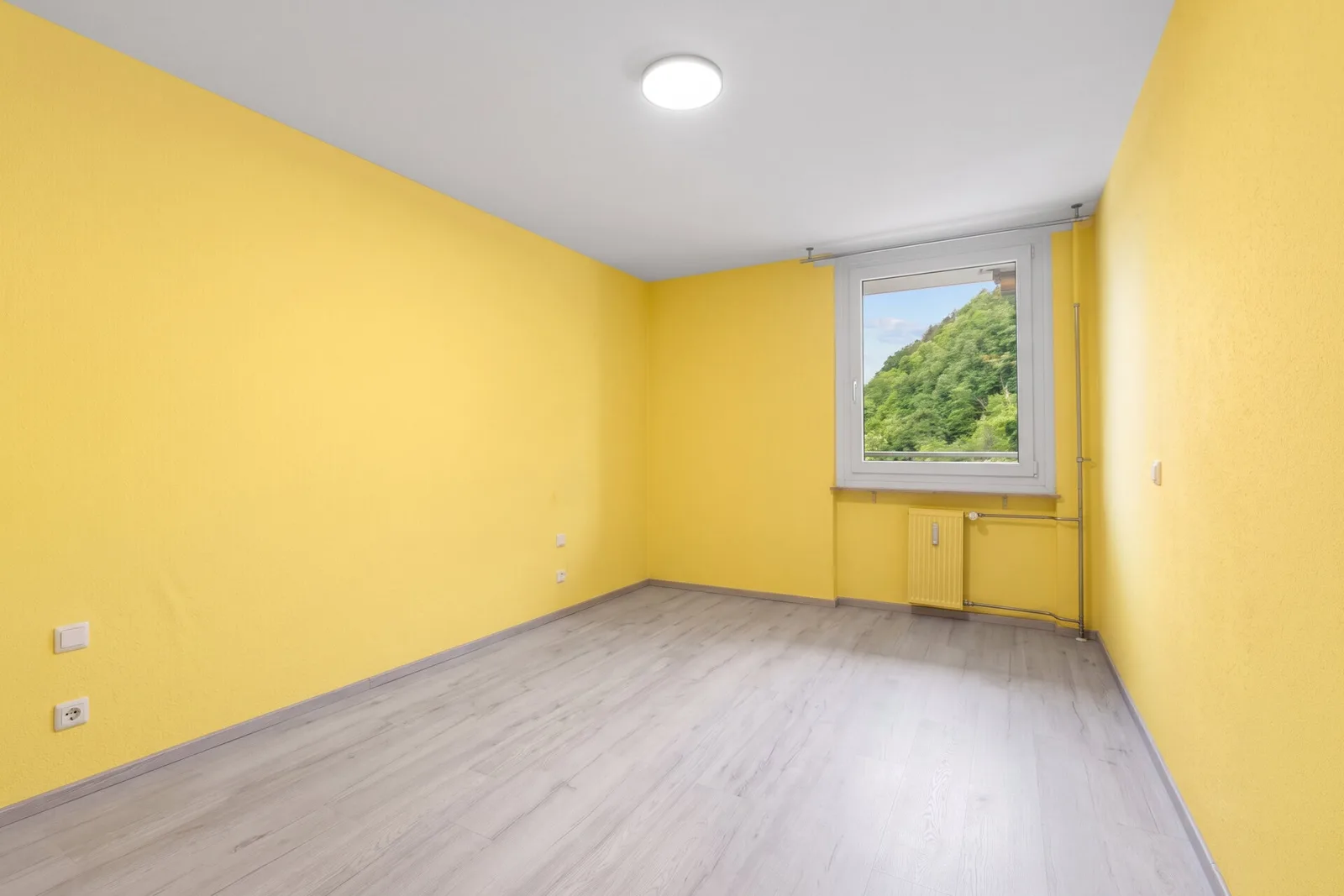 Wohnung in Waldkirch