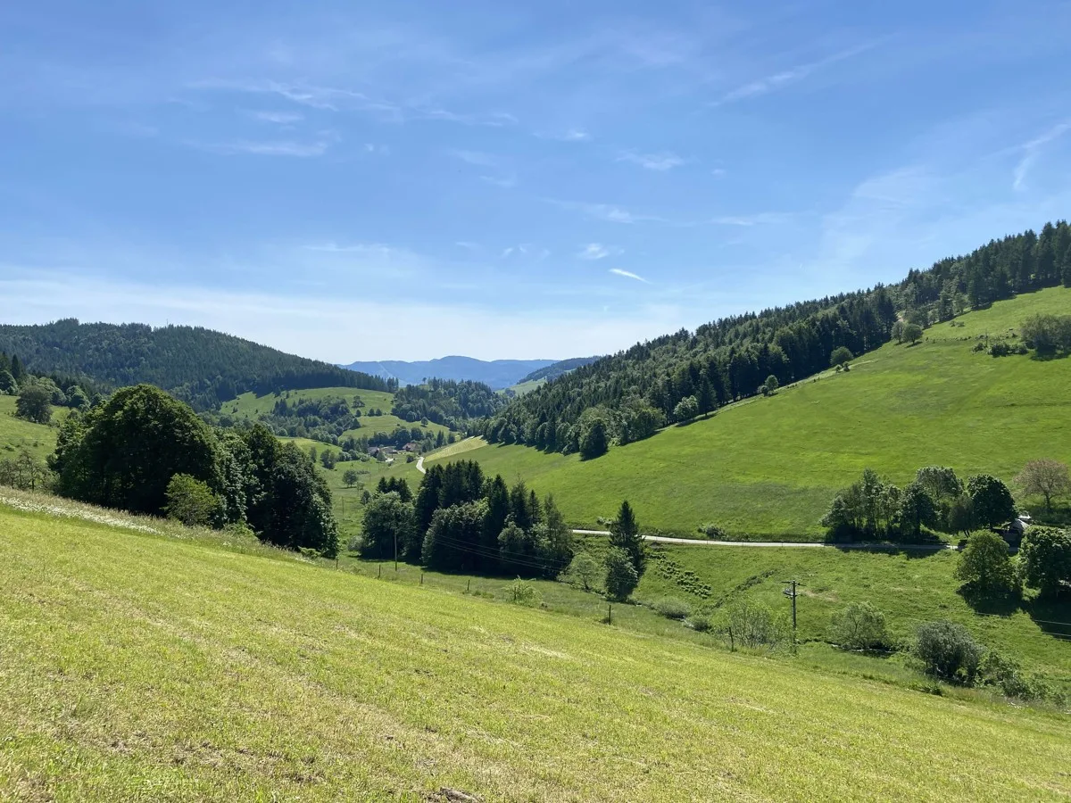 Gewerbeimmobilie in Kleines Wiesental