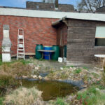 Garten_3