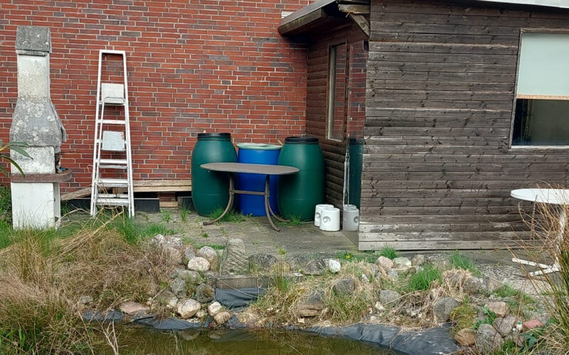 Garten_3