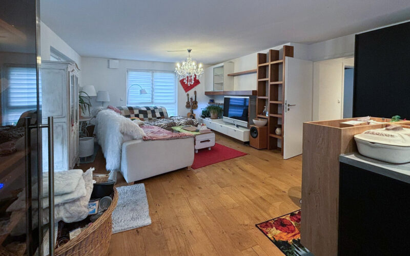 Wohnzimmer mit Küchenbereich