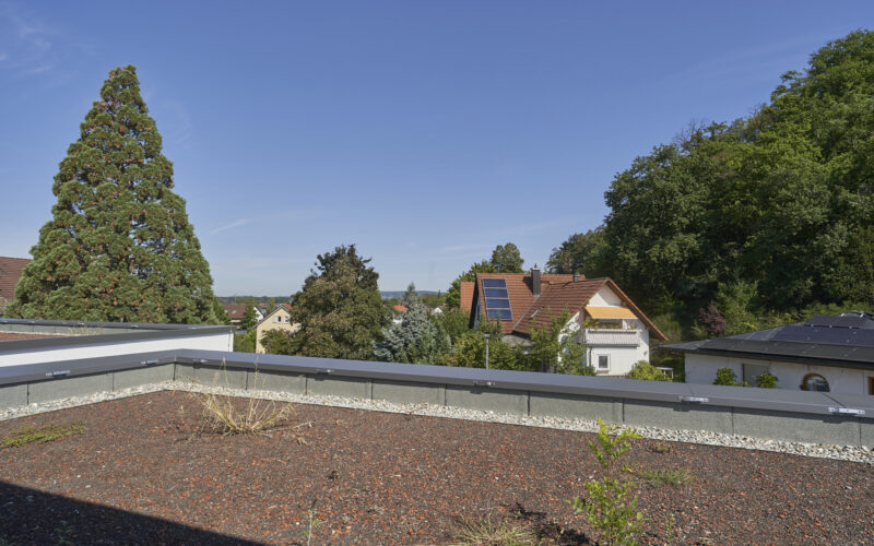 Ausblick_1