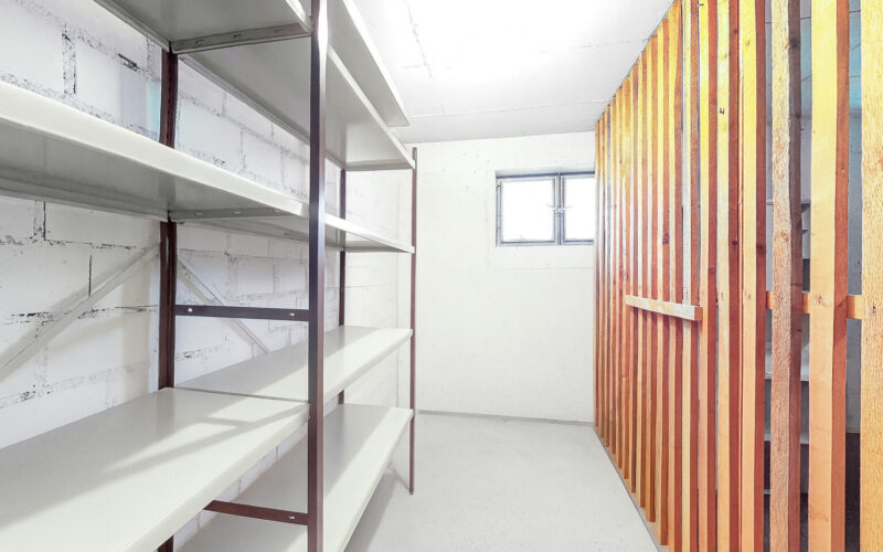 ChatGPT Image Nov 17, 2025, 12_23_33 PM