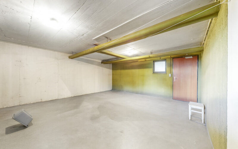 ChatGPT Image Nov 19, 2025, 04_34_11 PM