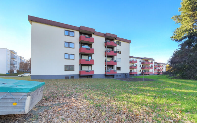 ChatGPT Image Nov 17, 2025, 01_19_55 PM