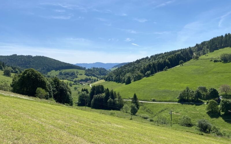 1c759e0c-a448-4e71-9eb8-366790e7f9e3