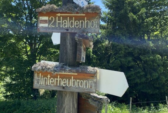 0a79fab4-4637-49c5-8286-d70dff77ae82