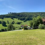 96633bbe-73bd-4732-812f-37a7baf4a5ef