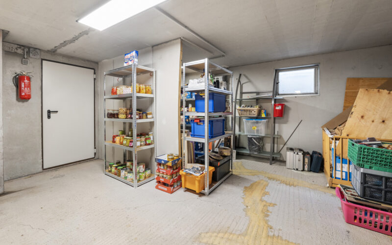 b5578014-7789-4d04-9b3e-39ea555cddfb