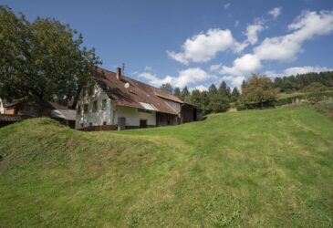 Bild_1