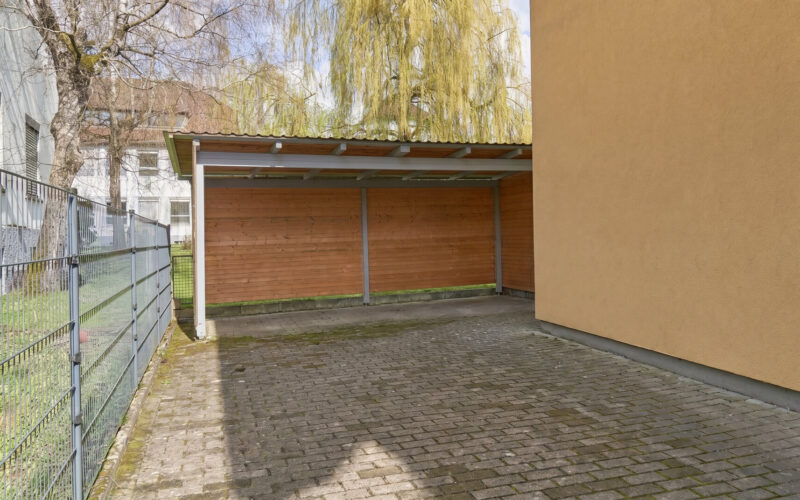 42_Schuppen