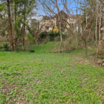 Garten_3