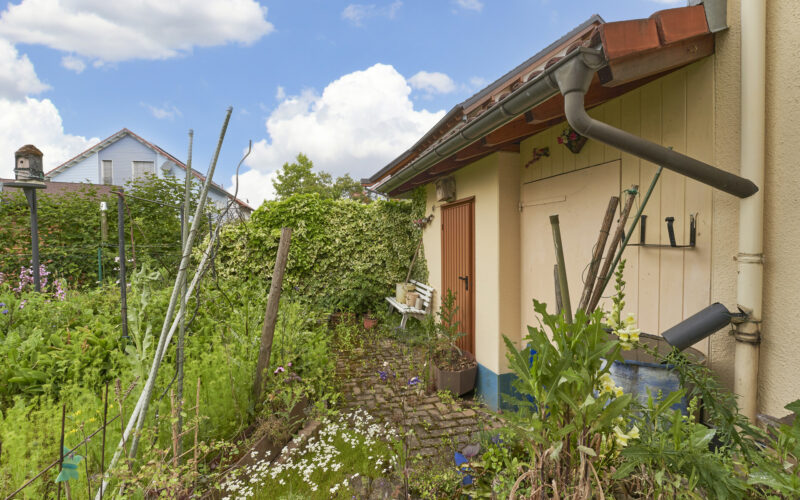 Garten_6
