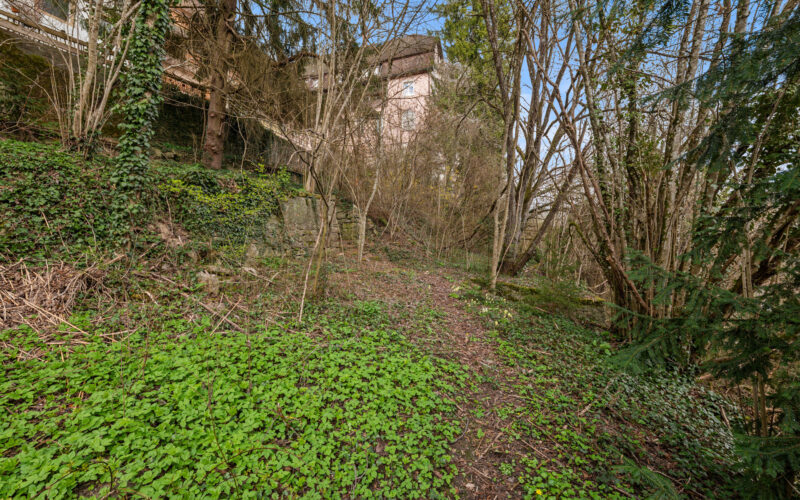 Garten_2