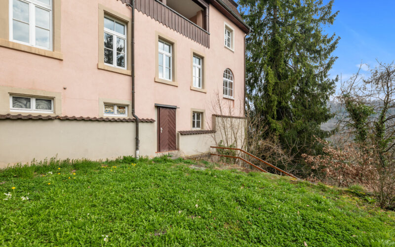 Garten_1