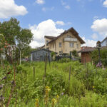Garten_1