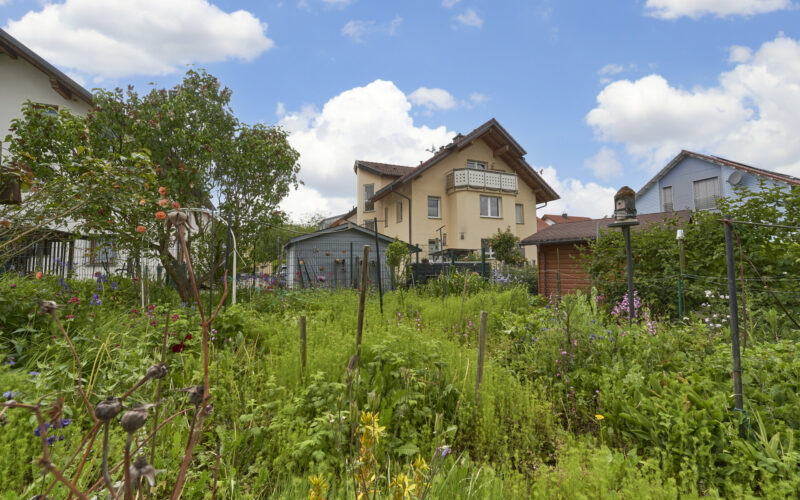 Garten_1