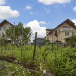 Garten_2