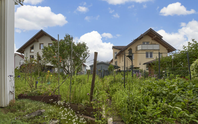 Garten_2