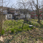Garten_4