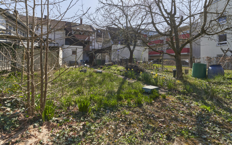 Garten_4