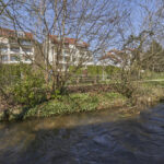 Garten_3