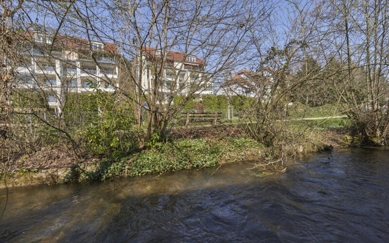 Garten_3