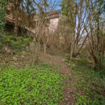 Garten_2